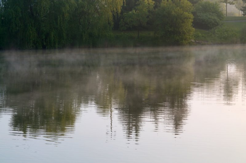 Early Morning Fog and Water