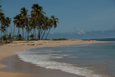 DSC_0428.jpg