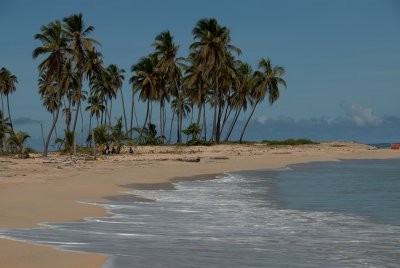 DSC_0431.jpg