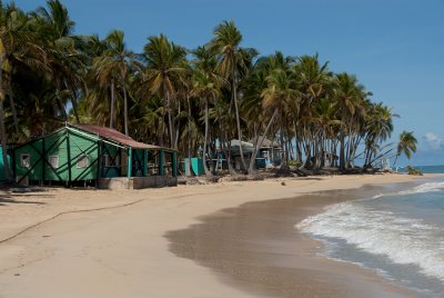 DSC_0443.jpg