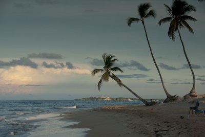 DSC_0502.jpg