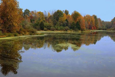 Muscatuck Wildlife Preserve