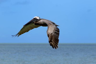 FL2008-06-06_08.jpg