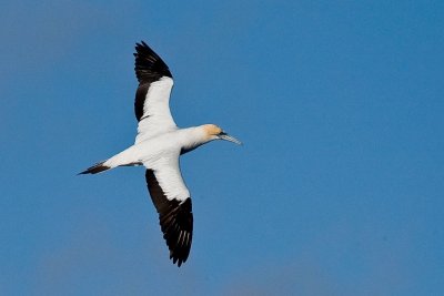D15B7888.jpg