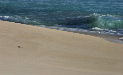 Darkwood Beach-Antigua