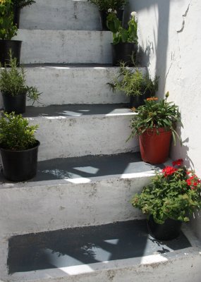 staircase with pots