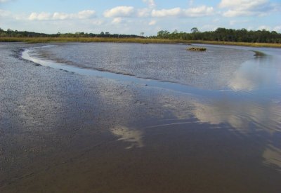 Mud Flats at  a negetive LowTide