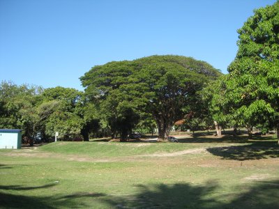 PD Park