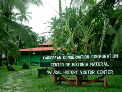 Carribean Conservation Corporation