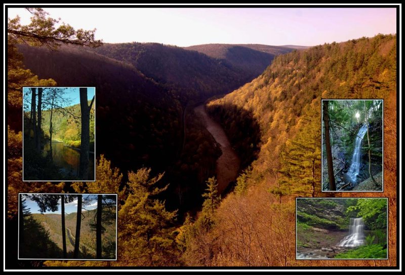 Spring Canyon from Colton Point