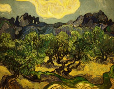 Van Gogh's Olive Trees