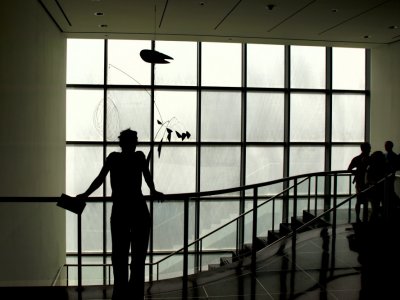 MOMA silhouette
