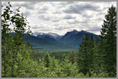 IMG_3519_2.jpg