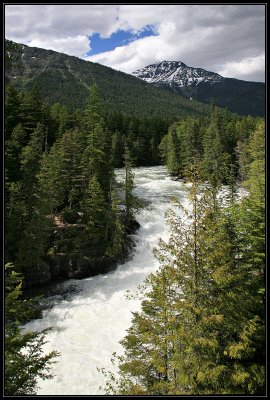 IMG_3464_1.jpg
