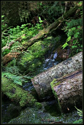 IMG_3508_1.jpg