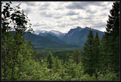 IMG_3519_1.JPG