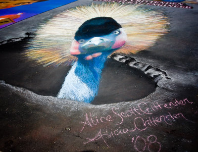 African Crowned Crane, Artists Alice Scott Crittenden & Alicia Crittenden.  Sponsor Mark Crittenden Structural Engineer.  