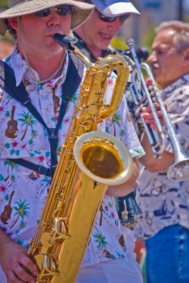 Solstice Parade