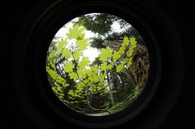 DSC_5545_resize.JPG