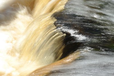 DSC_4257_resize.JPG
