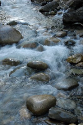 DSC_2247_resize.JPG