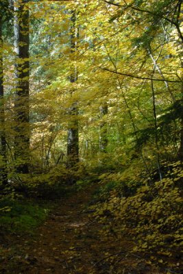 DSC_2285_resize.JPG