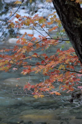 DSC_2305_resize.JPG
