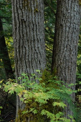 DSC_2355_resize.JPG