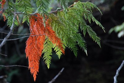 DSC_2362_resize.JPG