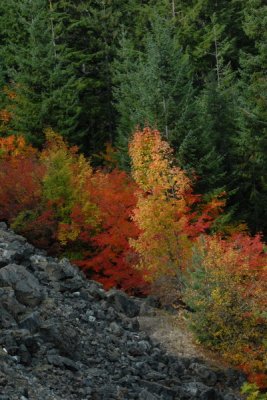 DSC_2388_resize.JPG