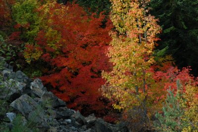 DSC_2398_resize.JPG