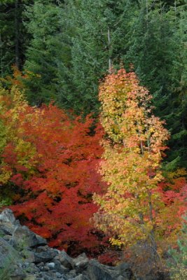 DSC_2400_resize.JPG