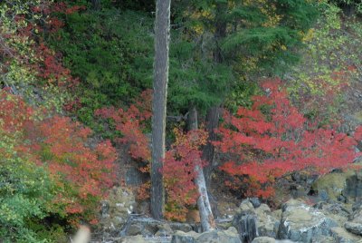 DSC_2409_resize.JPG