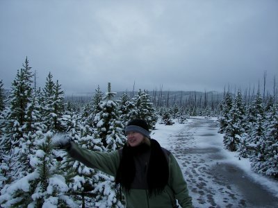Snowy Day in Yellowstone 084.jpg