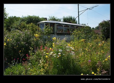 Toll House Garden #2, Black Country Museum