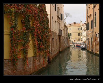 Autumn Colours, Venice