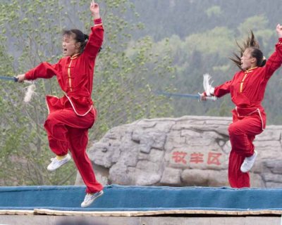 Flying Dragons