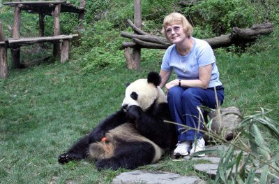 Wolong Panda and Guest