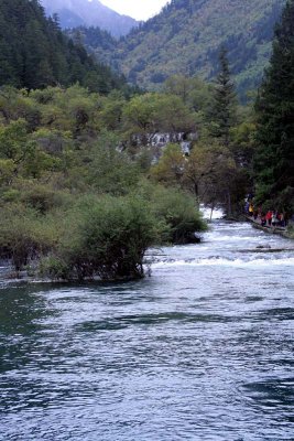 River Scape
