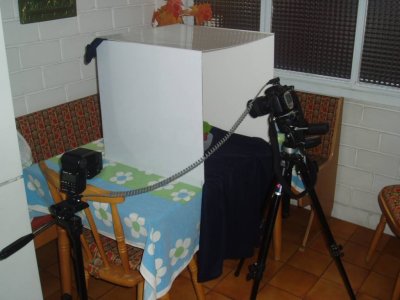 Pruebas MiniEstudio