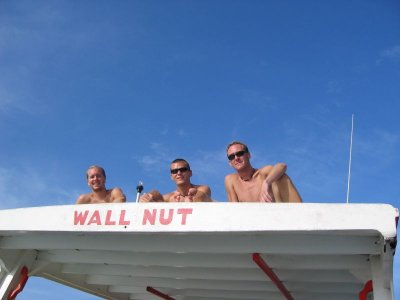 Wal nuts