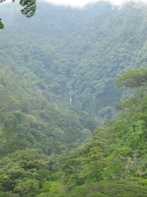 Hiking to the waterfall