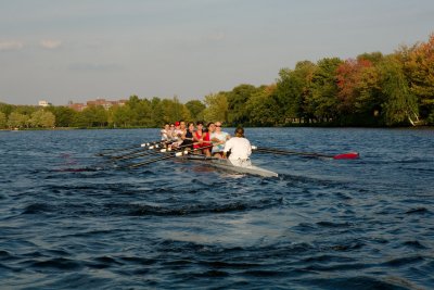 IMG_03086.jpg