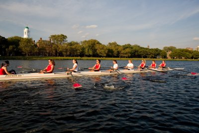 IMG_03178.jpg