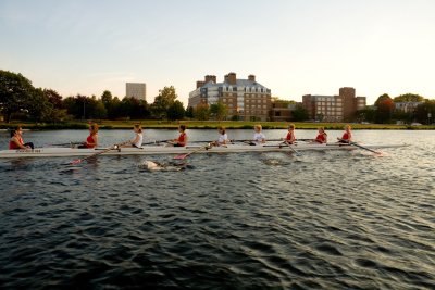 IMG_13271.jpg