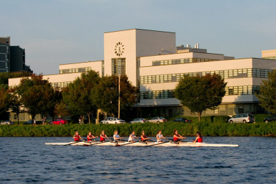 IMG_12630.jpg