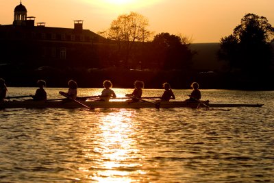 IMG_12638.jpg