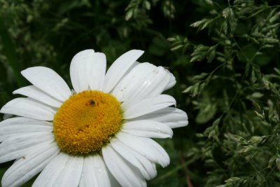 After the Rain ~