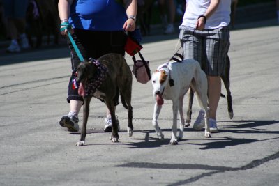 IMG_9476.JPG