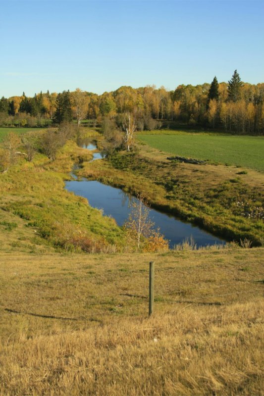 Fall day at the creek